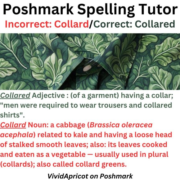 Have you ever seen a collared collard shirt? - Picture 1 of 1